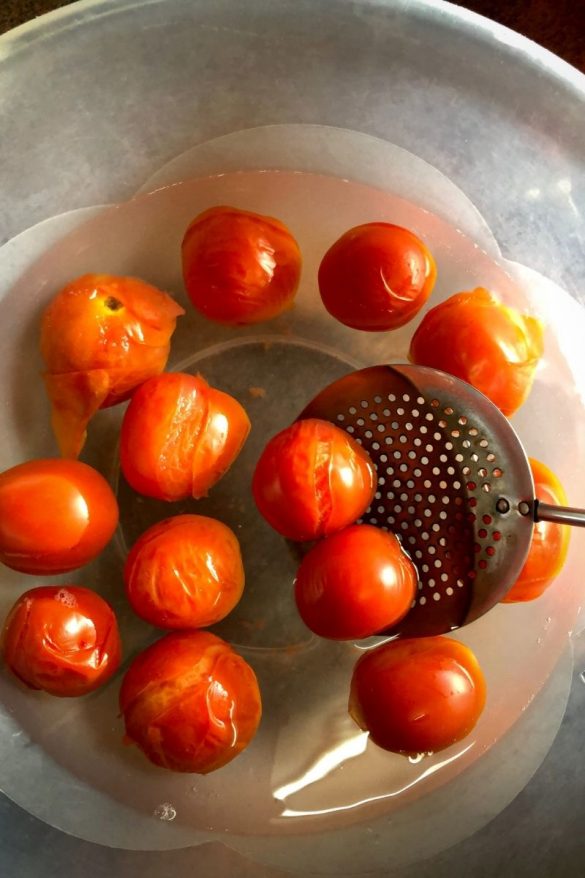 Tomatoes in icebath
